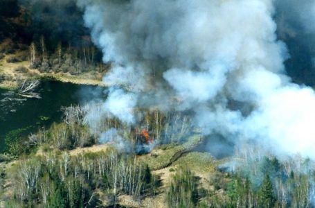 Из-за лесных пожаров на Камчатке задымлены четыре населенных пункта