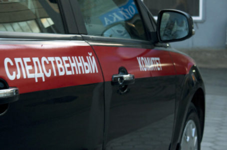 СКР начал проверку по факту гибели трех человек при пожаре в Челябинской области