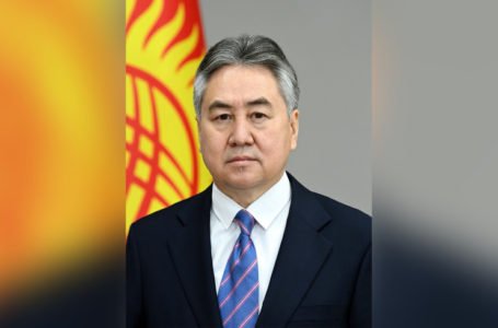 Парламент Кыргызстана одобрил кандидатуру Жээнбека Кулубаева на пост главы МИД